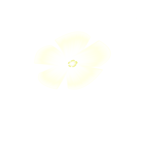 JPG可以透明背景嗎