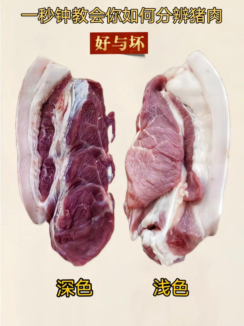 如何判斷冷凍肉壞掉