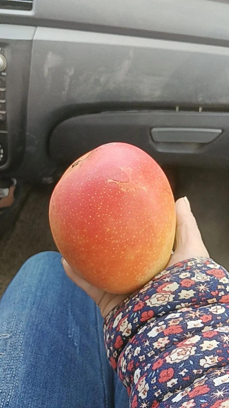 一顆芒果多少?從產地到餐桌:深度解析影響價格的關鍵因素與選購智慧 3 一顆芒果多少