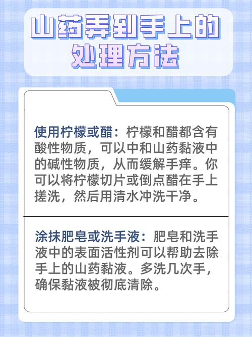 碰到山藥很癢怎麼辦?從預防到舒緩,專業解析不再手麻麻! 3 碰到山藥很癢怎麼辦