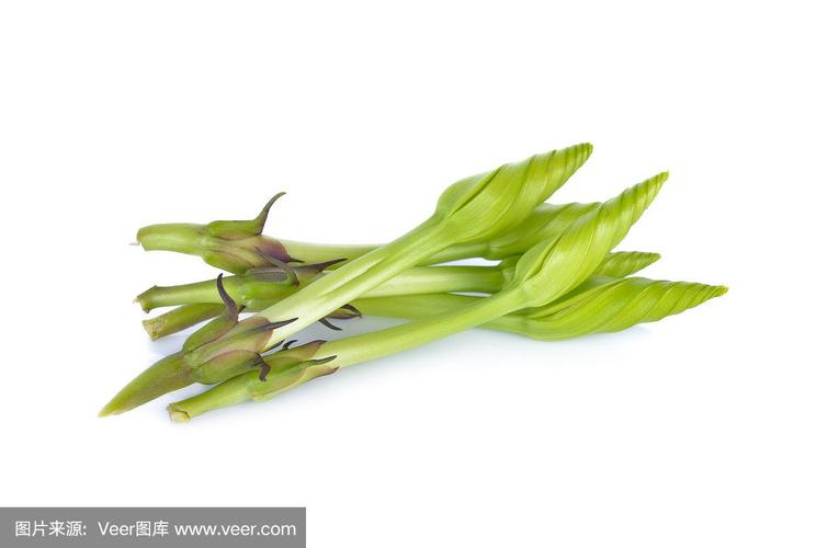 月光花可以吃嗎?深入探討這迷人植物的食用疑慮與潛在危險 1 月光花可以吃嗎