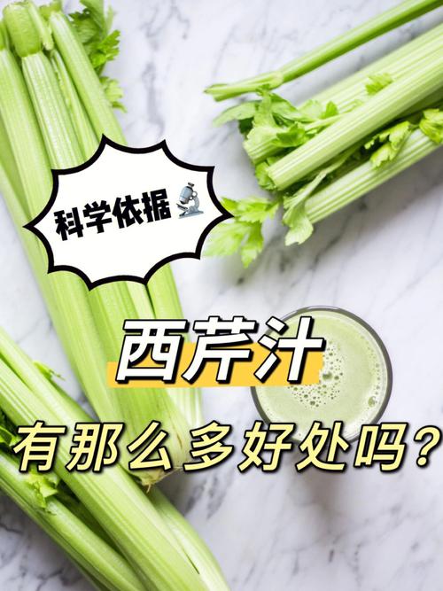 西芹汁要濾渣嗎