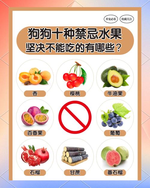 長期不吃水果會怎麼樣:深入解析身體的沉默抗議、潛在危機與挽救之道 1 長期不吃水果會怎麼樣