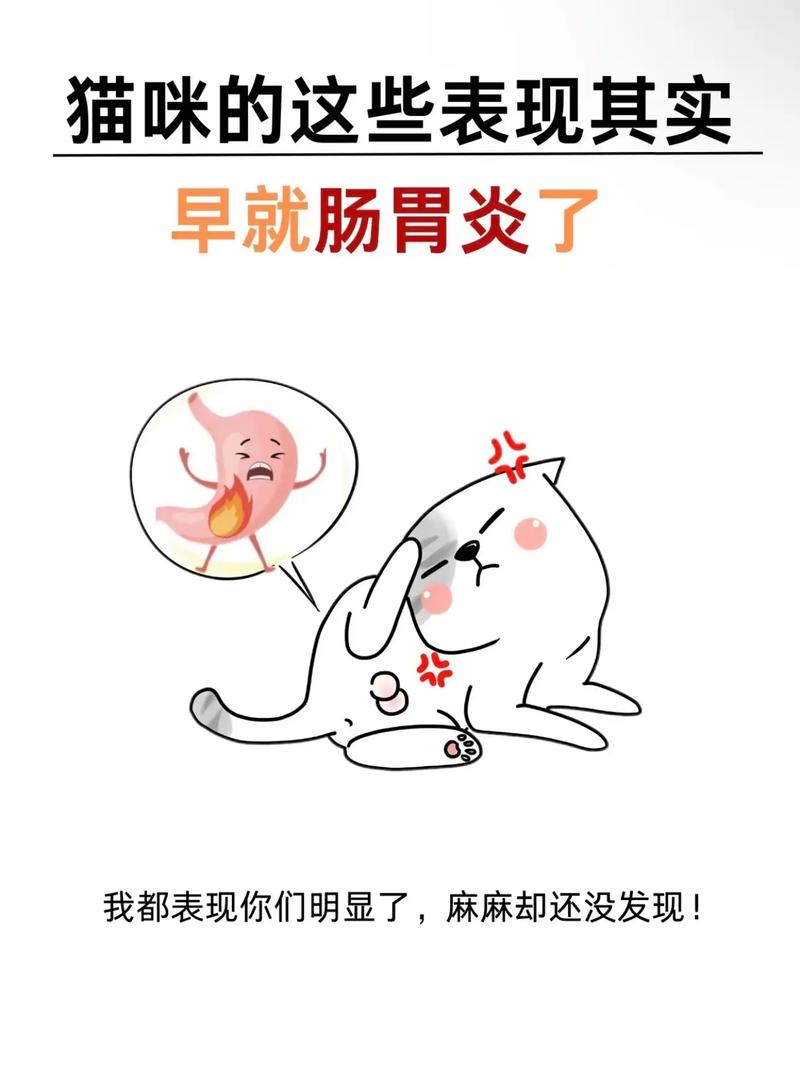 貓可以吃人的腸胃藥嗎