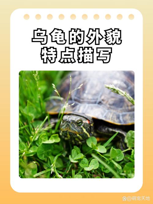 烏龜的天敵是誰