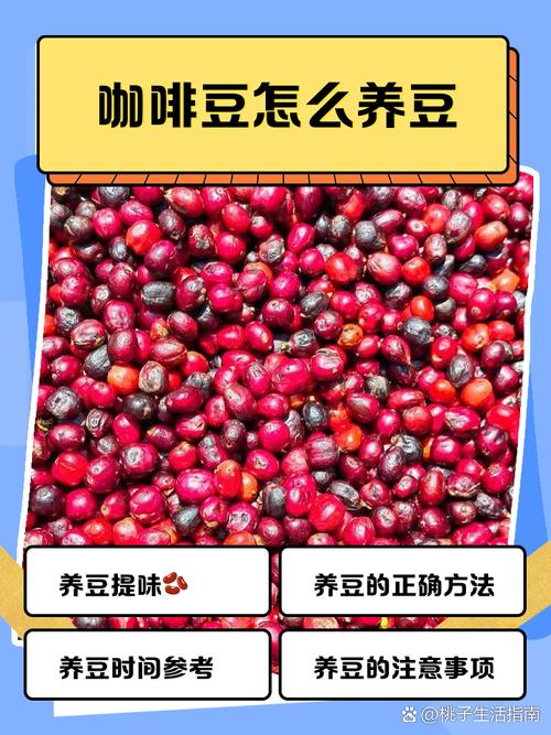 咖啡一定要養豆嗎