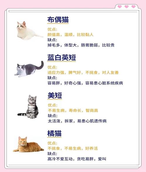 養貓的主人叫什麼:從「貓奴」到「貓家長」的多元稱謂與深層意義探討 3 養貓的主人叫什麼