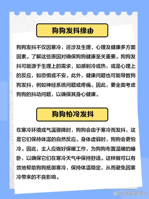 狗狗一直發抖是什麼原因