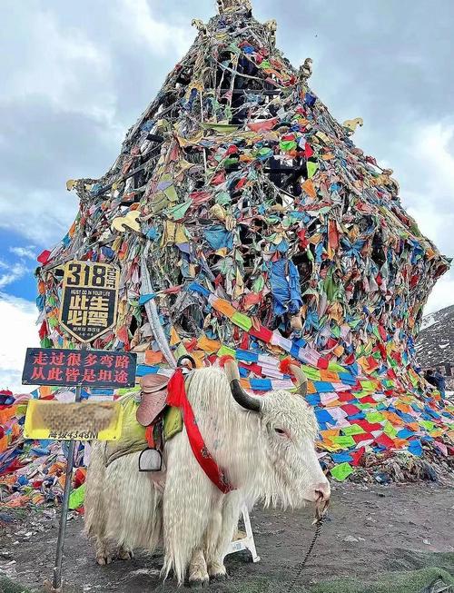 西藏最高海拔是多少