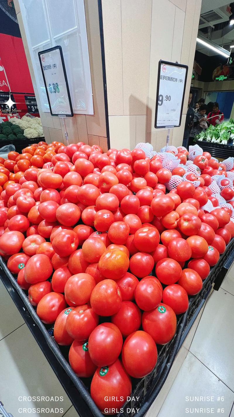 番茄一斤多少錢