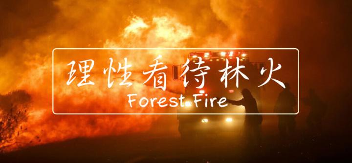 為什麼贊成開發森林:深度解析永續經營與台灣林業的多元價值 1 為什麼贊成開發森林