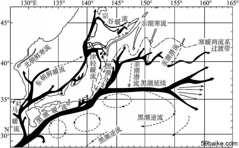 中國沿岸流是洋流嗎