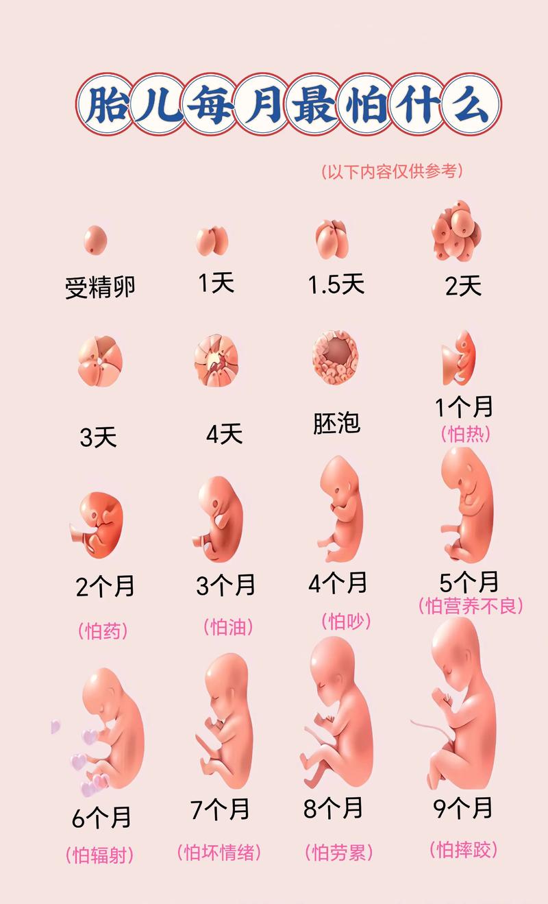 孕震構造 是什麼