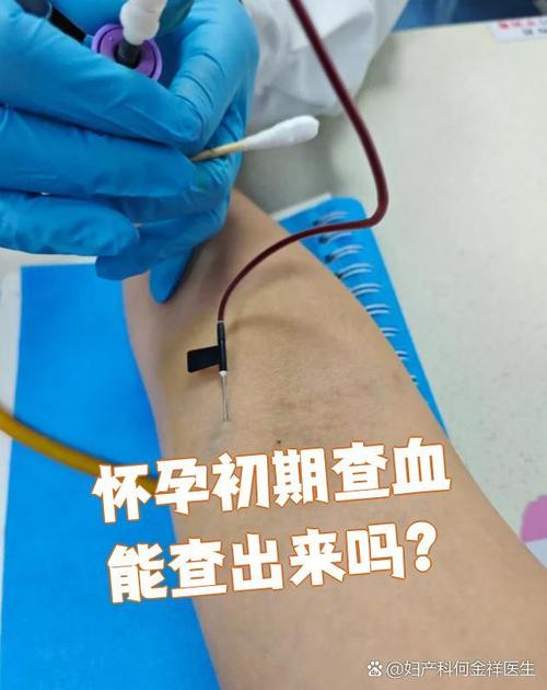 絕育需要驗血嗎?獸醫深度解析:術前血液檢查的必要性與關鍵作用 1 絕育需要驗血嗎