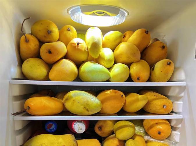 水果放冰箱會熟嗎?深度解析冷藏對水果熟成與保鮮的影響 3 水果放冰箱會熟嗎