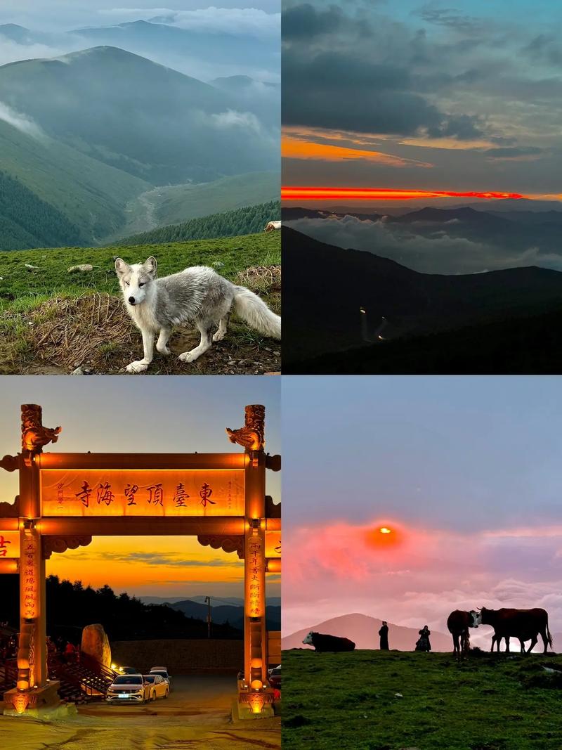 臺東哪裡可以看日出