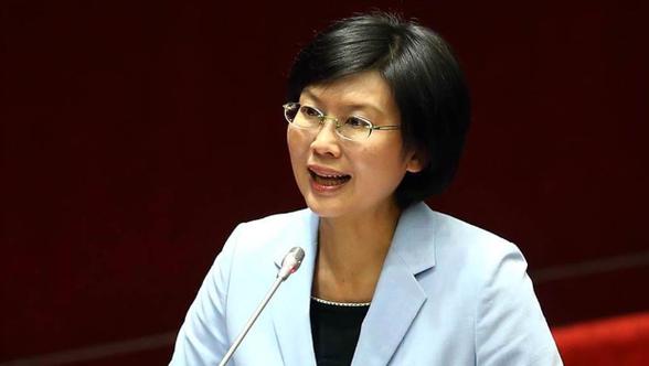 林岱樺是哪一黨