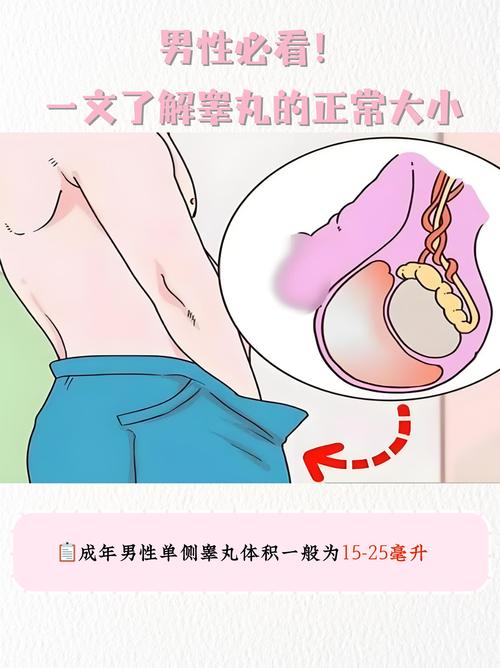 為什麼男生有蛋蛋