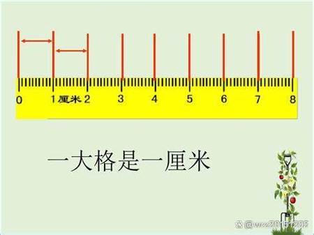 10寸幾cm?完整解析尺寸轉換的奧秘與實際應用,讓你不再搞錯尺寸! 3 10寸幾cm