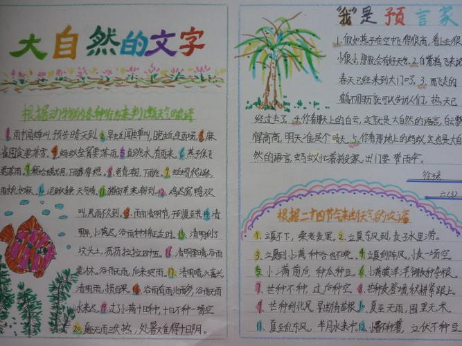 大自然的文字有哪些:解讀地球的無聲語言與奧秘 3 大自然的文字有哪些