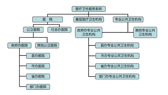 醫療體系是什麼?深度解析其運作、組成與對你我的關鍵影響 3 醫療體系是什麼