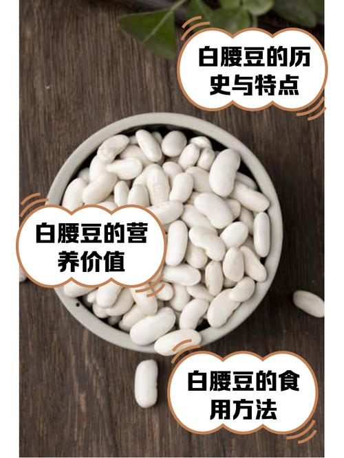 白鳳豆就是皇帝豆嗎:深入解析兩種豆類的植物學身份、營養價值與應用區別 1 白鳳豆就是皇帝豆嗎