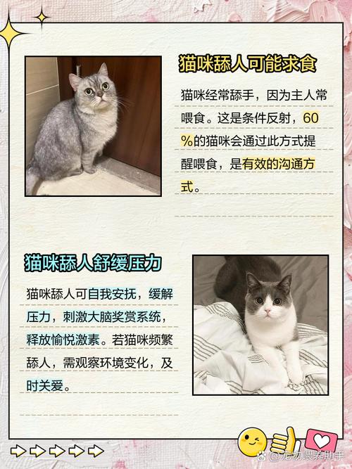 為什麼貓咪喜歡聞人的嘴巴