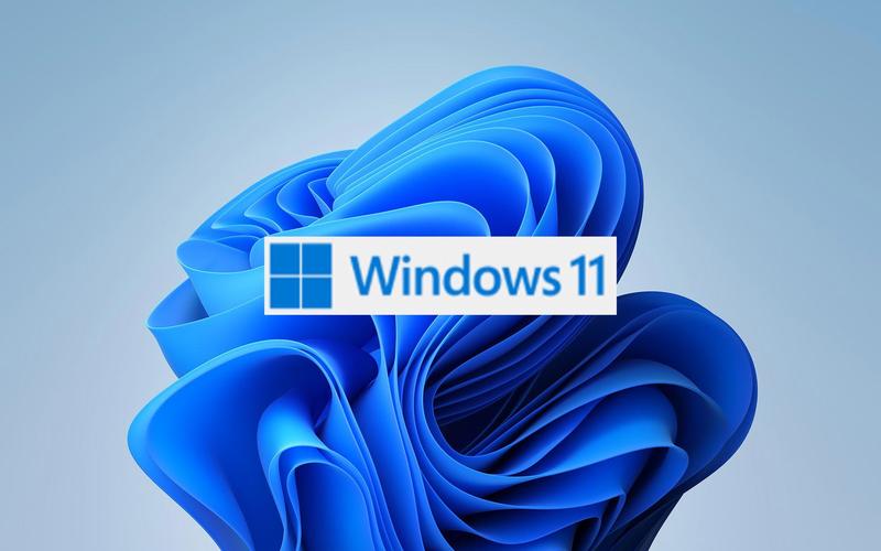 Windows 11 有哪些版本