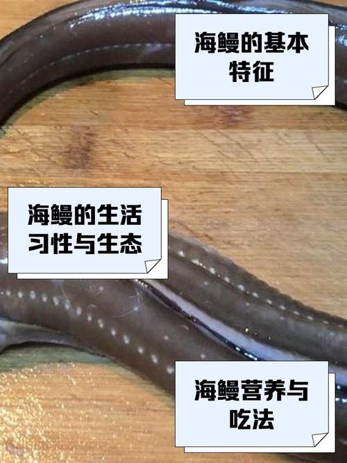 鰻魚要吐刺嗎