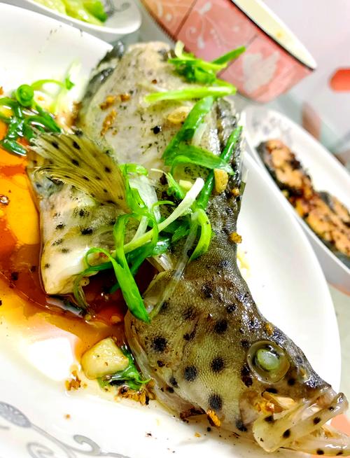 老鼠斑有養殖的嗎