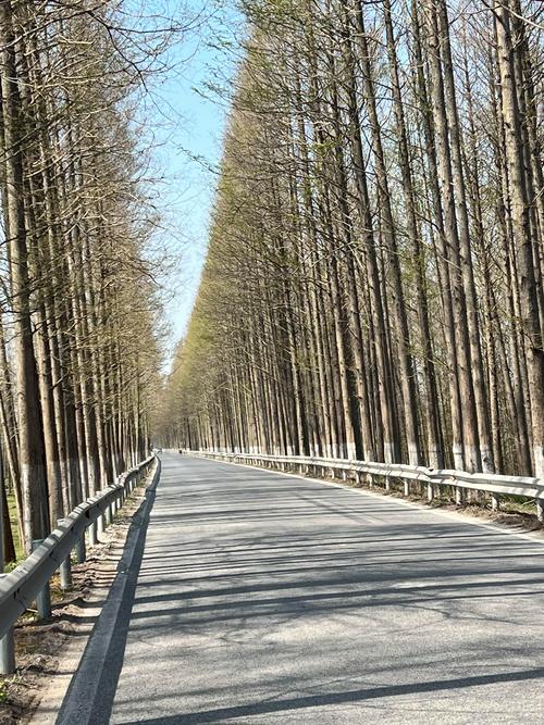 林道算道路嗎