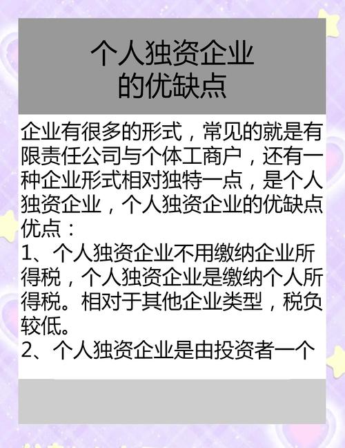 一人公司等於獨資嗎