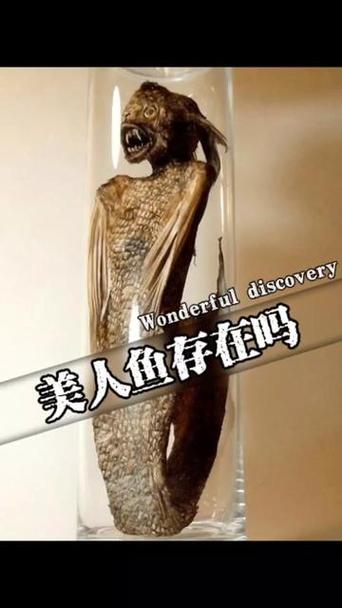 真的有美人魚嗎?從神話、目擊報告到科學解讀,深入探討美人魚之謎 1 真的有美人魚嗎