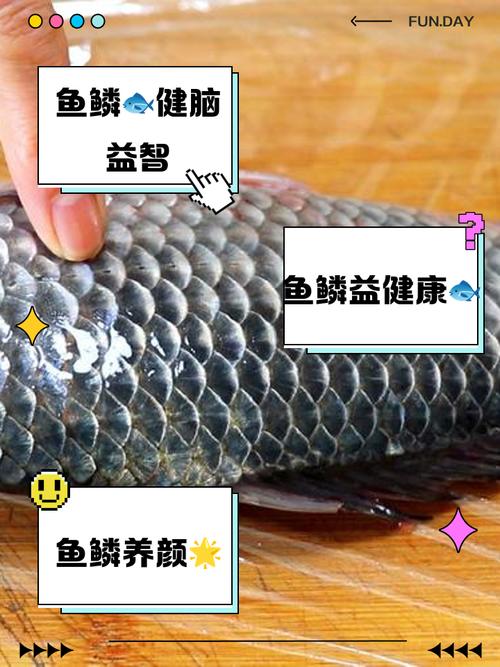 魚鱗有什麼好處