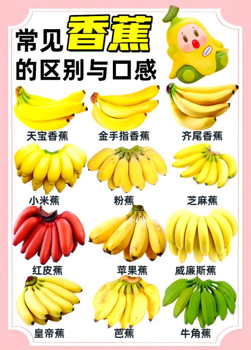 小孩一天吃幾根香蕉