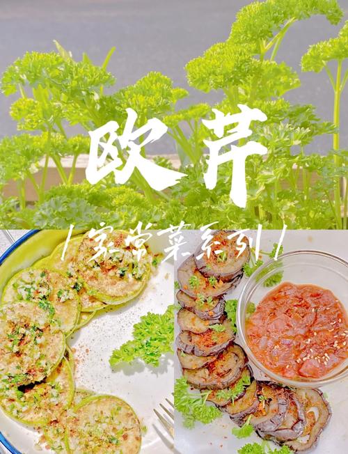 歐芹 可以做什麼