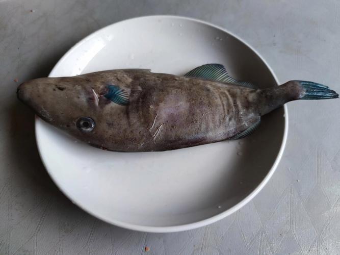 好吃的海魚有哪些