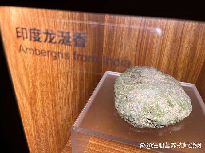 龍延香味道:揭秘海洋奇珍的迷人香氣與深邃魅力 1 龍延香味道