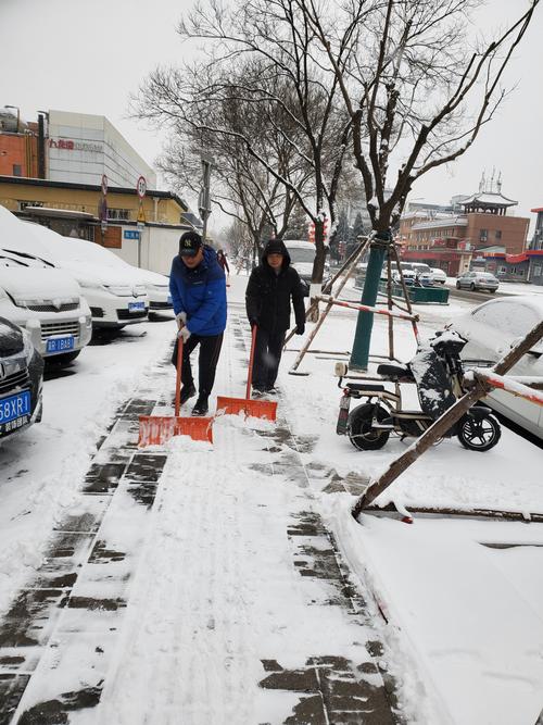 自掃門前雪:現代社會中個人責任與群體福祉的微妙平衡之道 3 自掃門前雪
