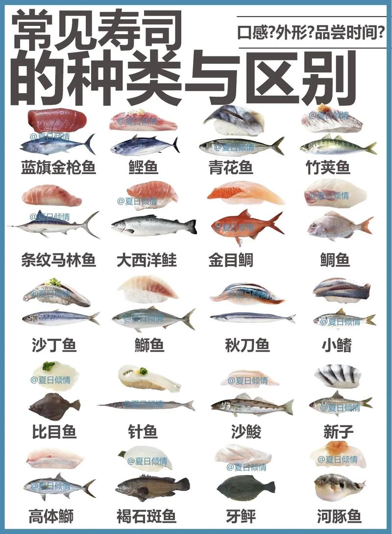 壽司為何叫壽司