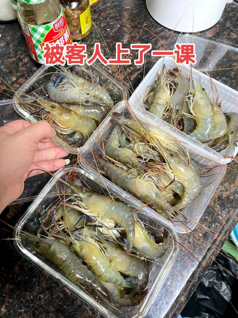 釣魚用甚麼蝦?深度解析台灣常見蝦餌種類、挑選與使用技巧 3 釣魚用甚麼蝦