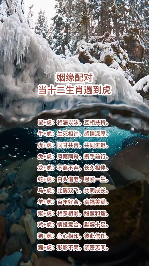 虎跟什麼生肖不合