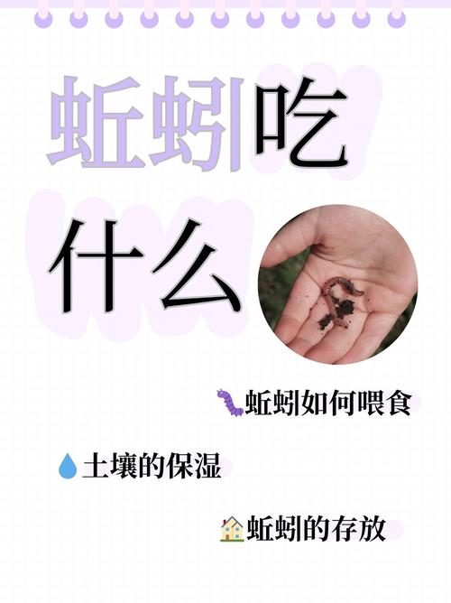 蚯蚓怕什麼