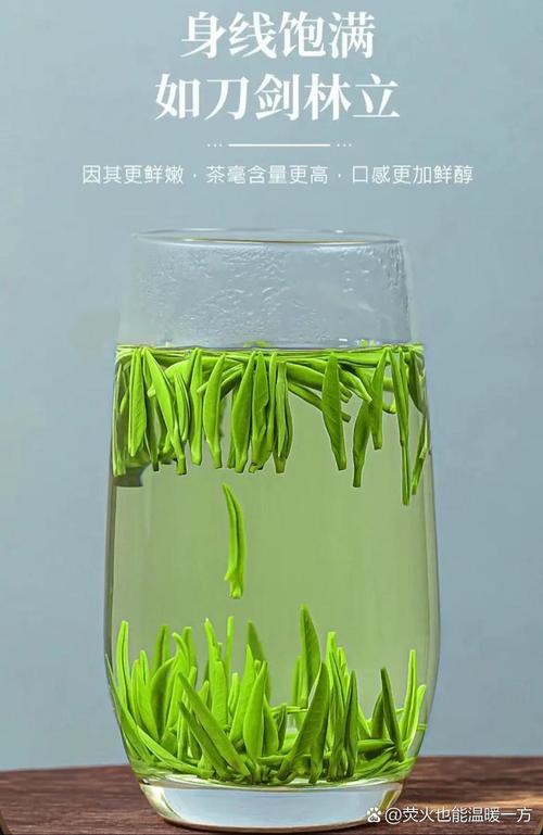 綠茶抗發炎嗎