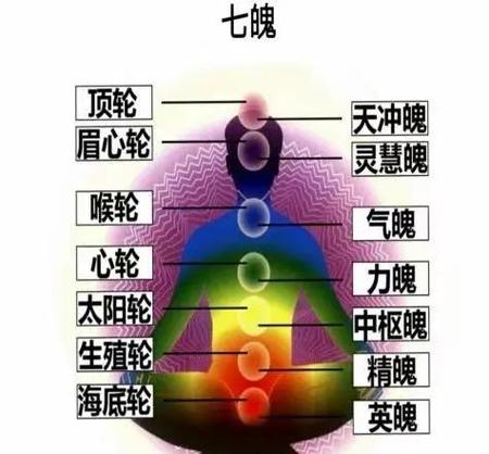 人體三大能量系統有哪些