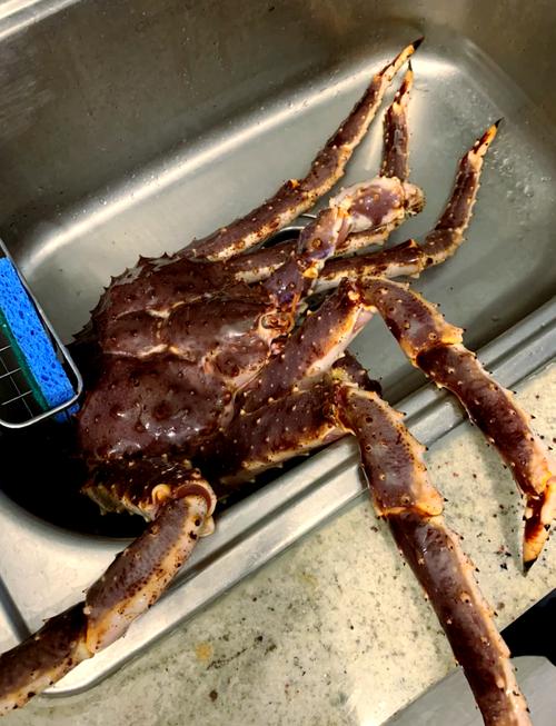 如何蒸帝王蟹:從選購到上桌的帝王級盛宴秘訣與深度解析 1 如何蒸帝王蟹