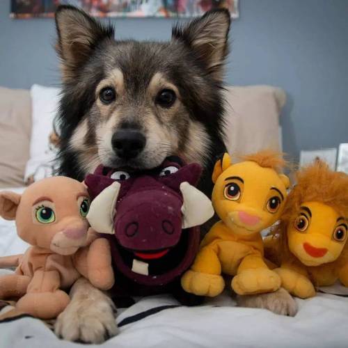 為什麼會被眼神電到