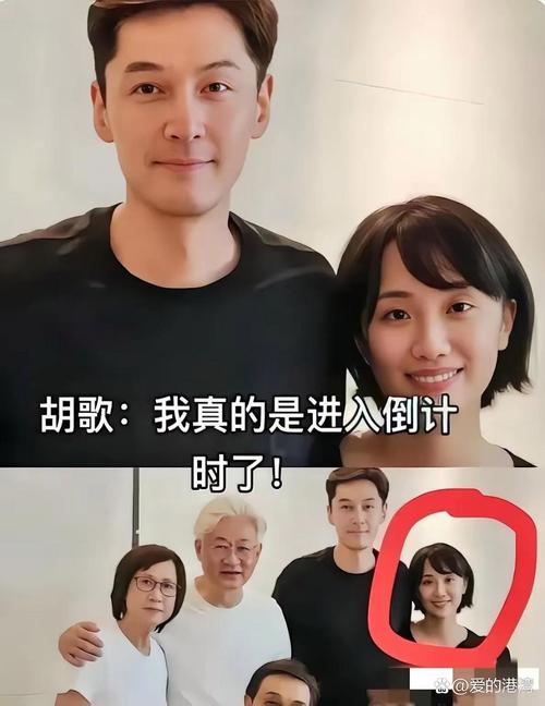 胡歌的太太是誰