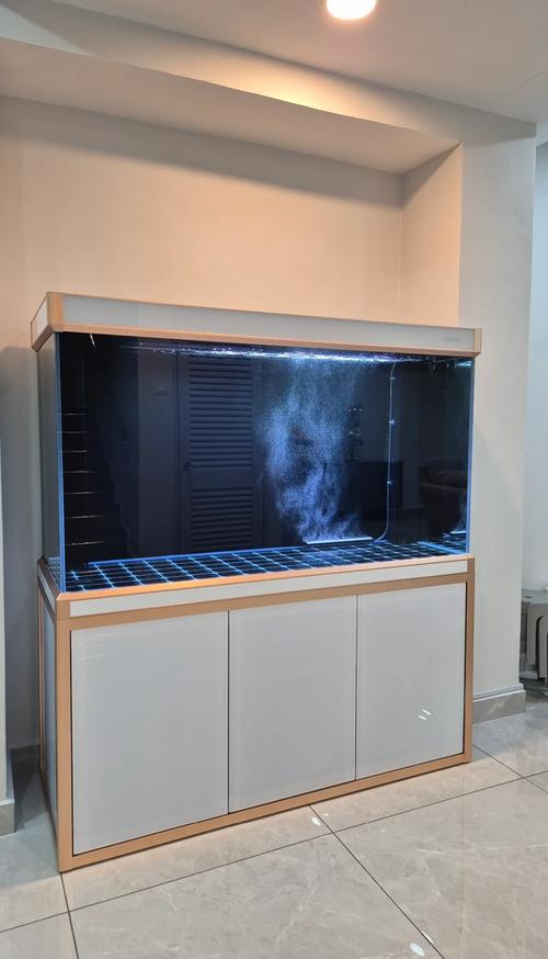 2尺魚缸是幾公分