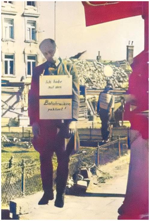 希特勒吃素嗎?探究這位歷史人物的飲食習慣與其背後複雜的意涵 1 希特勒吃素嗎